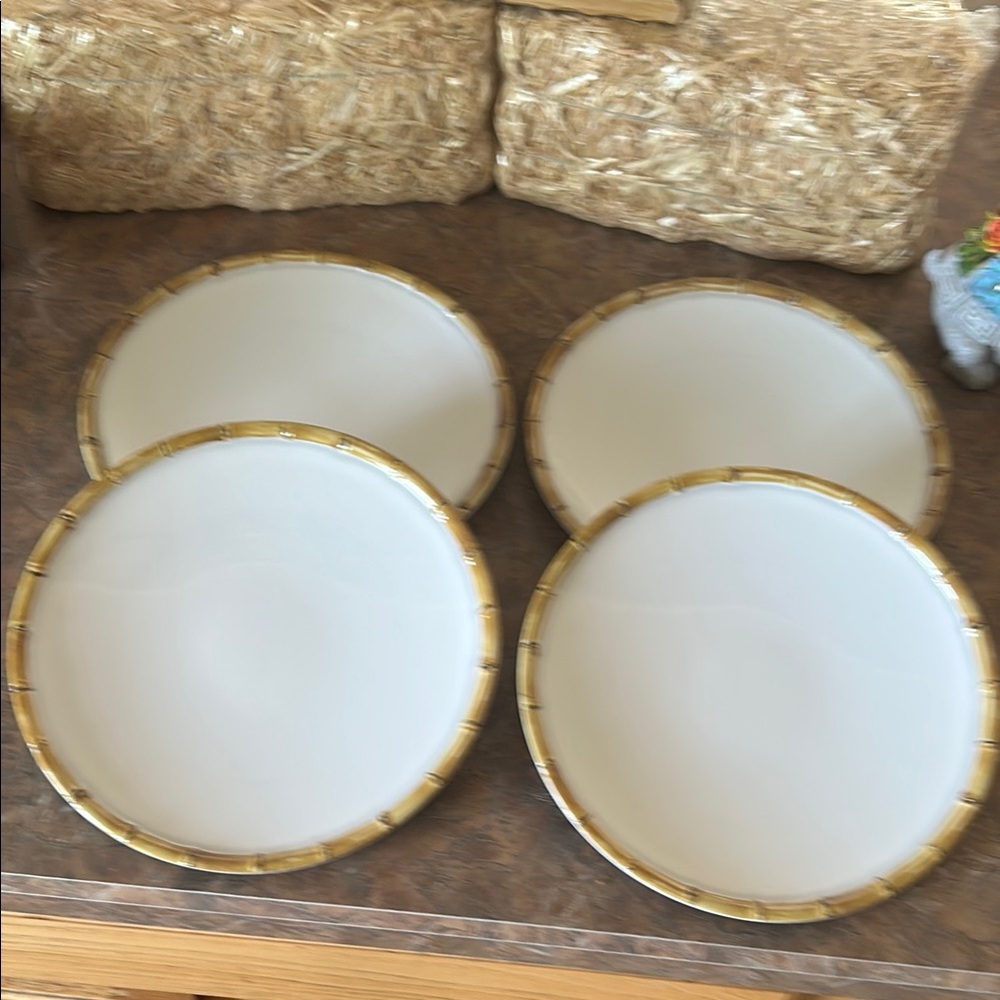 At Home Set Of Four 100% Melamine 11” Dinner Plates